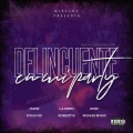 2030、Moisxs Mvsic、Bleachx Produce、La Kren、Jtade La Amnz、Yogui RD、Robert B - Delincuente en mi Party NG (feat. Jtade La Amnz La Kren 2030 Yogui RD Robert B & Moisxs Mvsic)(Explicit)