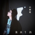 陕西牛犇 - 小黄花