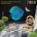 Vintage Culture、Fancy Inc、Roland Clark - Free