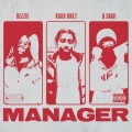 Manager (Explicit)