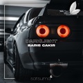 Barış Çakır、Satsuma Music - Darklight