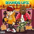 Don Cheech、BIM - Sounds Like (feat. BIM)(Explicit)