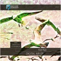 Yonsh、Eichenbaum - Digital Air