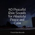 Relaxing Music、Buddhist Meditation Music Set、Bath Spa Relaxing Music Zone - Gentle Ocean Waves