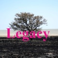 Legacy