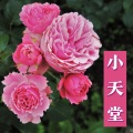 小天堂 :引导冥想,深度放松的音乐,SPA温泉背景音乐,治愈的New Age音乐,大脑训练