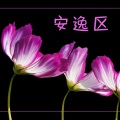 KANJIAN疗愈_静心助眠 - 大提琴