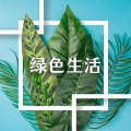 Positive 态度 - 和声的音乐