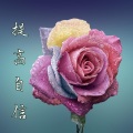 Positive 态度 - 在海边放松