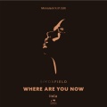 Simon Field、iiola - Where Are You Now (VIP Radio)