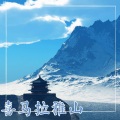 习霭 - ZEN花园