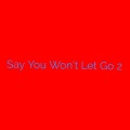 Say You Won't Let Go 2