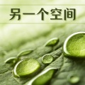 修炼音乐 - 大脑训练