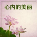心理健康管理 - 心内的美丽
