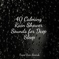 40 Calming Rain Shower Sounds for Deep Sleep