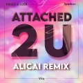 PINEO & LOEB、Sparkee、Viiq、ALICAI - Attached 2 U