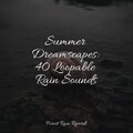Summer Dreamscapes: 40 Loopable Rain Sounds