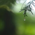 Relaxing Music Therapy、Musica Relajante - Fireplace Listening