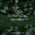 Relajación、Sol y Lluvia、It's Raining - Inside the Greenhouse