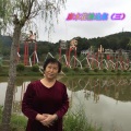 廖水花 - 水韵江南