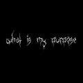 Devastate、Jonathan Heydeman - what is my purpose