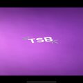 Tsb Kt、Veeze - Ganger (feat. Veeze)(Explicit)