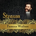 Radio Bratislava Symphony Orchestra、Otto Aebi - Liebes-Lieder Walzer, Op. 114