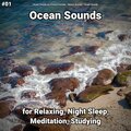 Ocean Sounds by Viviana Fernsby、Nature Sounds、Ocean Sounds - Ocean Sounds Part 21