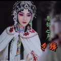 云梦缘 - 有情活把鸳鸯葬