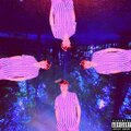 Ryno - This Life (Explicit)