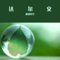 曲调同学 - 达尔文