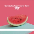 城攻子 - Watermelon Sugar