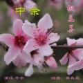 黄森尧 - 漫步桃花林