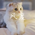 焦磊 - 风度