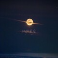 肆月Sy_、俏qiao3 - 环游星空