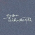 Camelia - 雾里