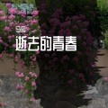 马辰 - 那年