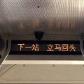 周周 - 离岸