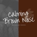 Brown Noise Baby、Baby Brown Noise、Piano for Babies、Eva Traks - Brown Noise Piano - Woolgathering