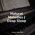 Piano Pianissimo、Exam Study Classical Music Orchestra、Piano para Dormir - Generations
