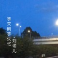 刘诺儿 - 等天明等失忆