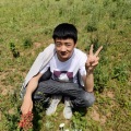 武彦强 - 听闻远方有你