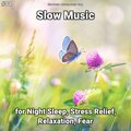 Slow Music、Relaxing Music、Yoga - Relaxing Music to Calm Your Baby