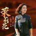 龙梅 - 茉莉花