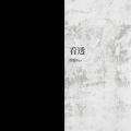 豹豹Puv - 看透