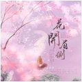景莓、小羊JUN吖 - 花开眉侧