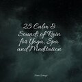 25 Calm & Sounds of Rain for Yoga, Spa and Meditation