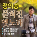 정의송 - 갈대의 순정