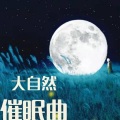 门哥 - 大自然音乐：马车外的雨