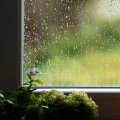 大自然的声音|缓解焦虑